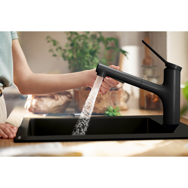 Hansgrohe Zesis Pull Out Kitchen Faucet & Reviews | Wayfair